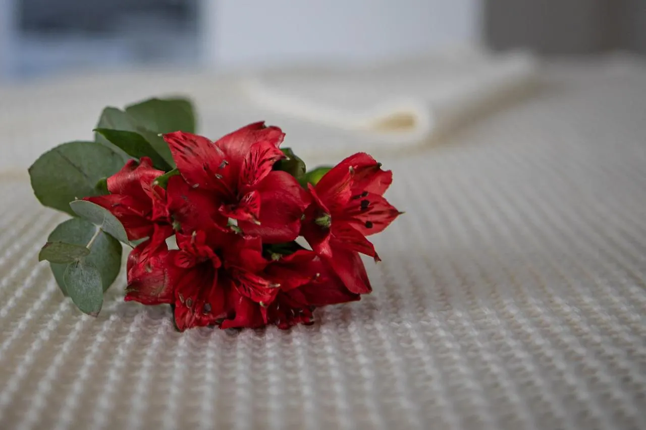 B&B Villa Anna Quattro Castella Bed & Breakfast