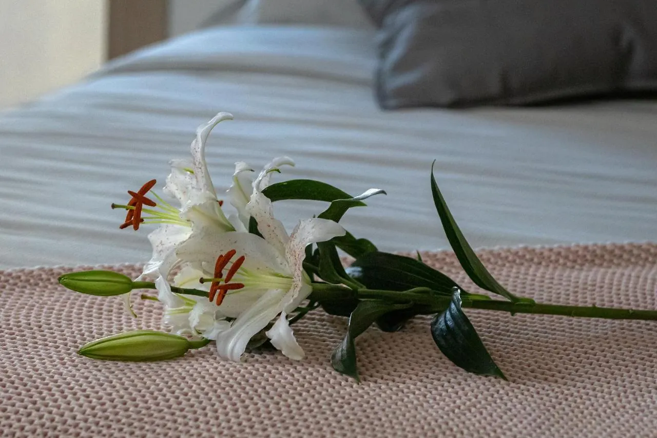 Bed & Breakfast B&B Villa Anna Quattro Castella Italien